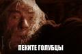 бегите глупцы.jpg