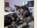 2019-05-06_15-04-26.png