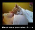 ко тэ.jpg