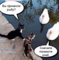 сделка века.jpg