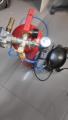 photostudio_1613062393040.jpg