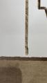 IMG_1169.jpeg