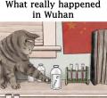 WhatsApp Image 2020-05-18 at 00.00.06.jpeg