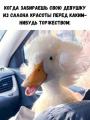 утка.jpg