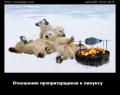 отношение пропритарщиков к линуксу.jpg