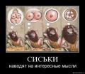 сиськи.jpg