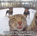 кардио.jpg