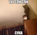 спи.jpg