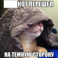 темная сторона.jpg