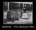 понты.jpg