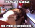 гравитация.jpg