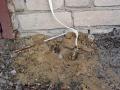 DSC07109.jpg