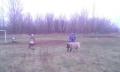 20171116_1624391.jpg