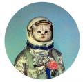 кот космонавт.jpg