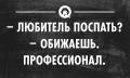 любитель.jpg