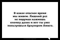 амиго.jpg