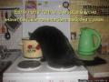 бытовая техника выбрана с умом.jpg