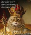 коронованная особь.jpg
