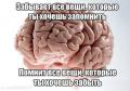 хитрый парень.jpg