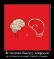 не задавай боксеру вопросов.jpg
