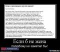 если б не жена.jpg