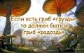 гриб груздь и гриб радоздь.jpg