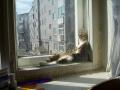 искусство сон-фу 9.jpg