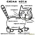 схема кота.jpg
