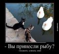 fish-bread.jpg